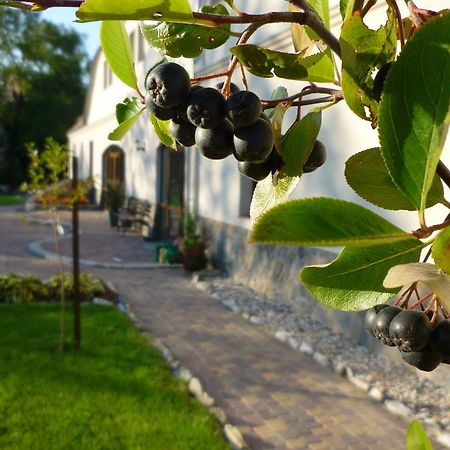 Aronia Park Villa Lubiechowa Bagian luar foto