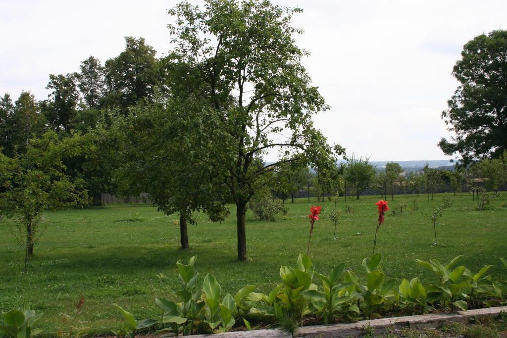 Aronia Park Villa Lubiechowa Bagian luar foto
