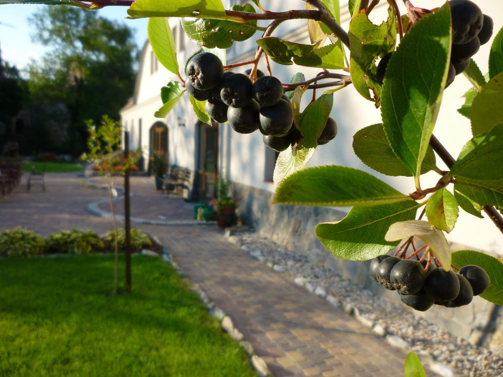 Aronia Park Villa Lubiechowa Bagian luar foto
